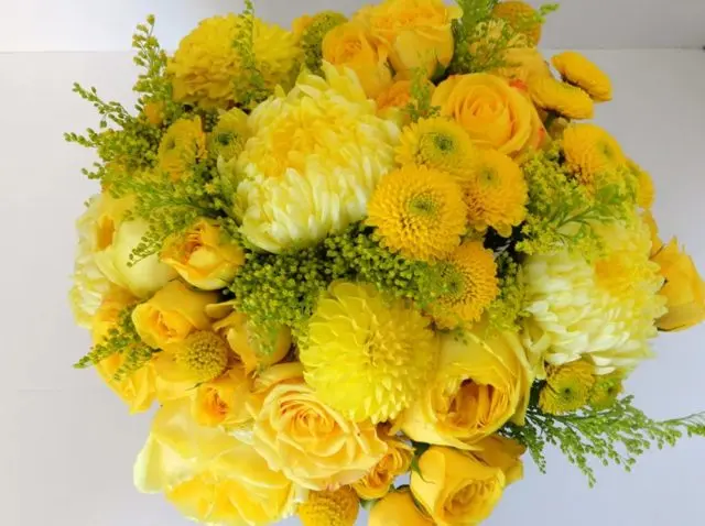 Yellow chrysanthemums: photos, descriptions, variety names