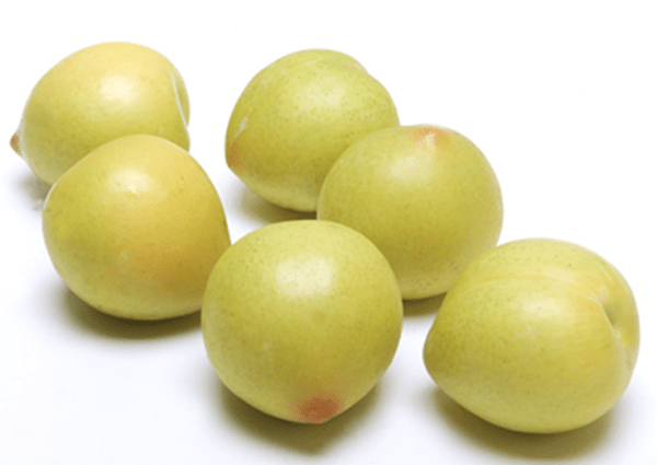 Yellow plum varieties: varieties, characteristics and description