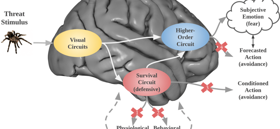 You can live normally with a mental illness. Why are we so afraid of them?