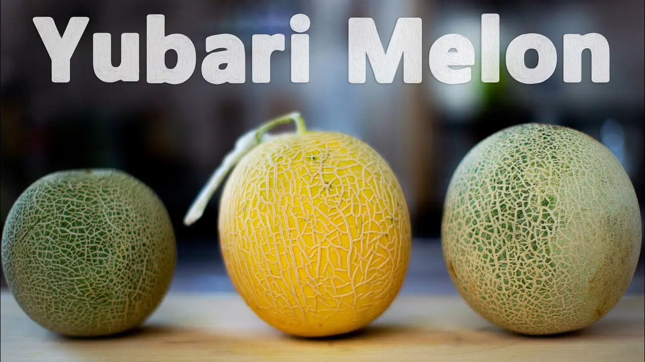 Yubari melon: the most expensive gourd in the world