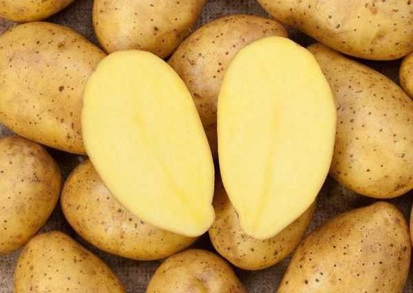 Zekura potato