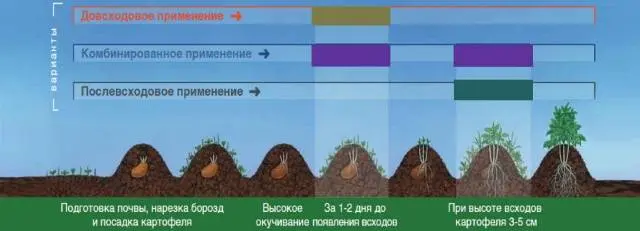 Zencor: instructions for use on potatoes 