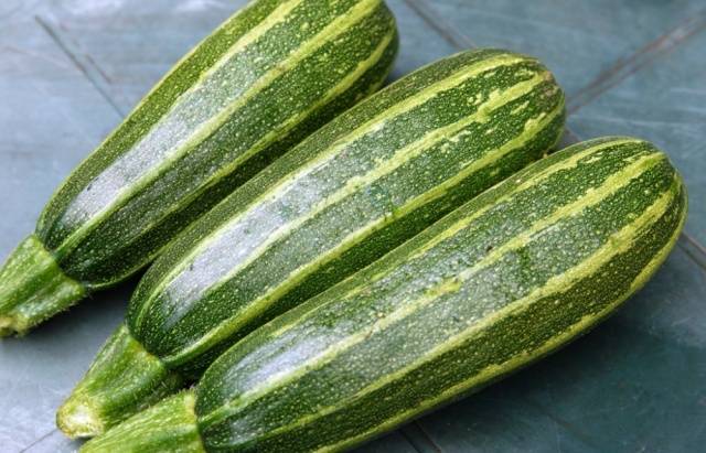 Zucchini - small varieties