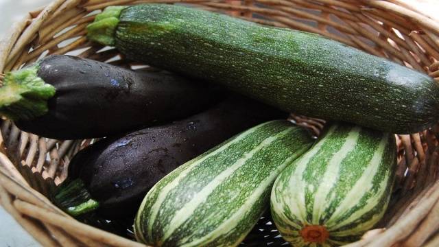 Zucchini &#8211; small varieties