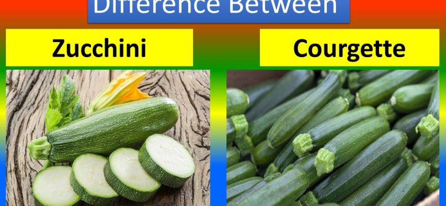 Zucchini and zucchini: how are they different and how are they similar?