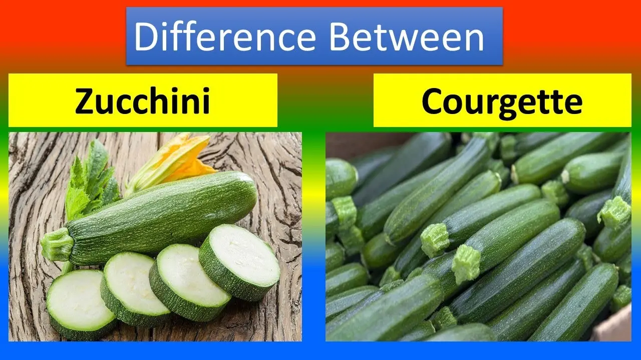 Zucchini and zucchini: how are they different and how are they similar?