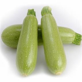 Zucchini Aral F1