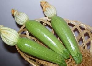 Zucchini Aral F1