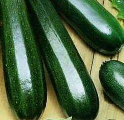 Zucchini Black handsome