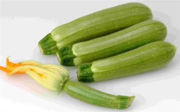 Zucchini parthenocarpic