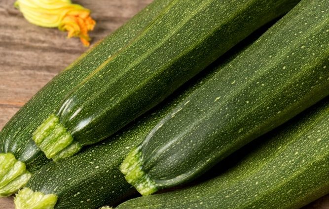 Zucchini Scilla F1