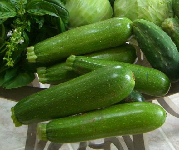 Zucchini squash: the best varieties