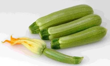 Zucchini Sukha F1