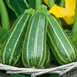 Zucchini Tigernut