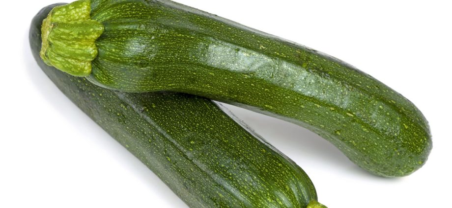 Zucchini Tristan F1