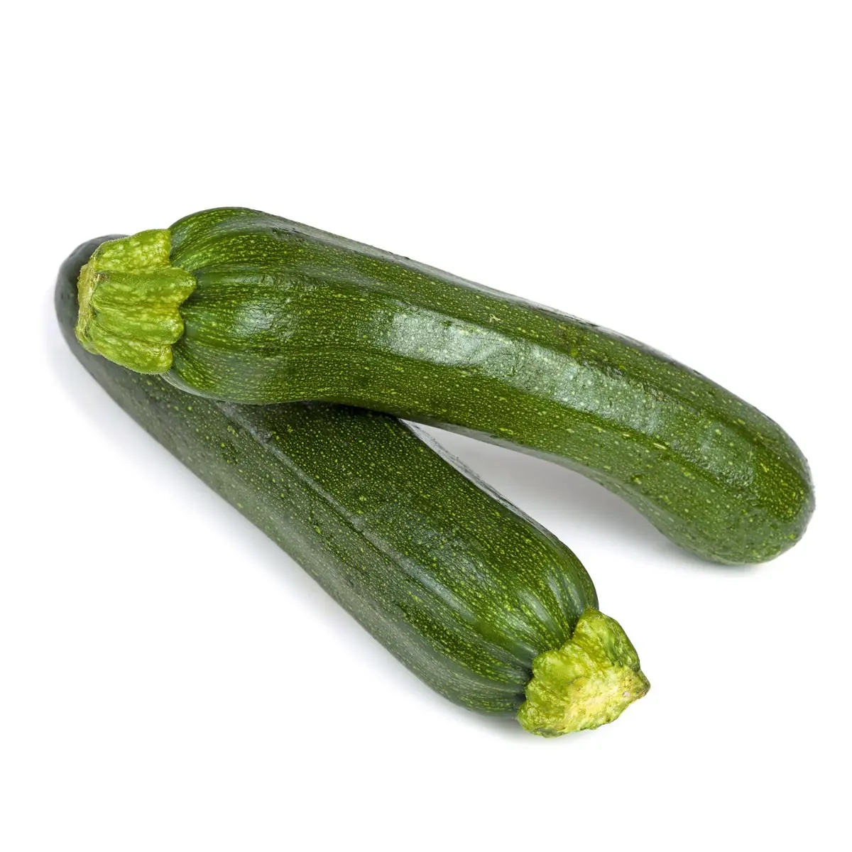 Zucchini Tristan F1