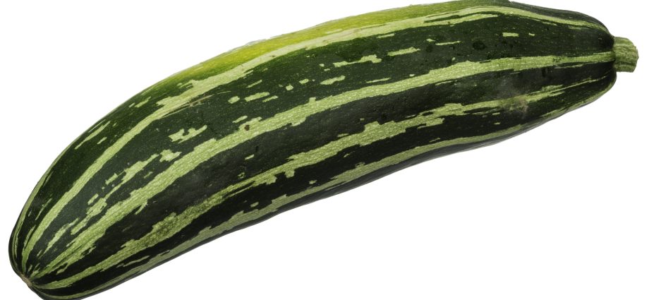 Zucchini zucchini