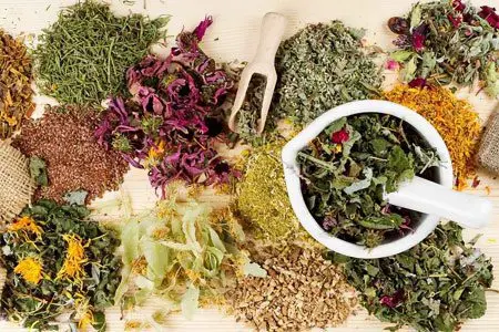 15 herbs for immunity with powerful antiviral activity