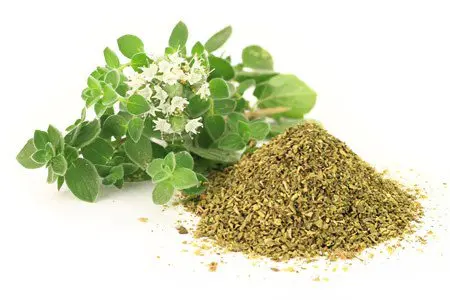 15 herbs for immunity with powerful antiviral activity