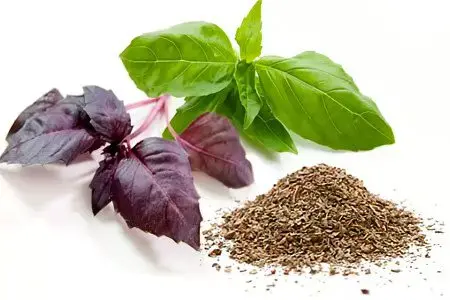 15 herbs for immunity with powerful antiviral activity