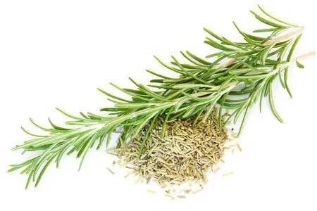 15 herbs for immunity with powerful antiviral activity