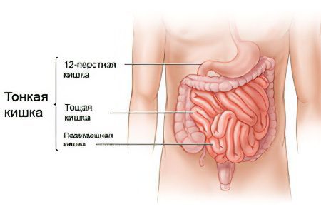 7 symptoms of bowel disease and 3 recommendations