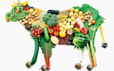 Вегетарыянства і страваванне: як пазбегнуць ўздуцці жывата