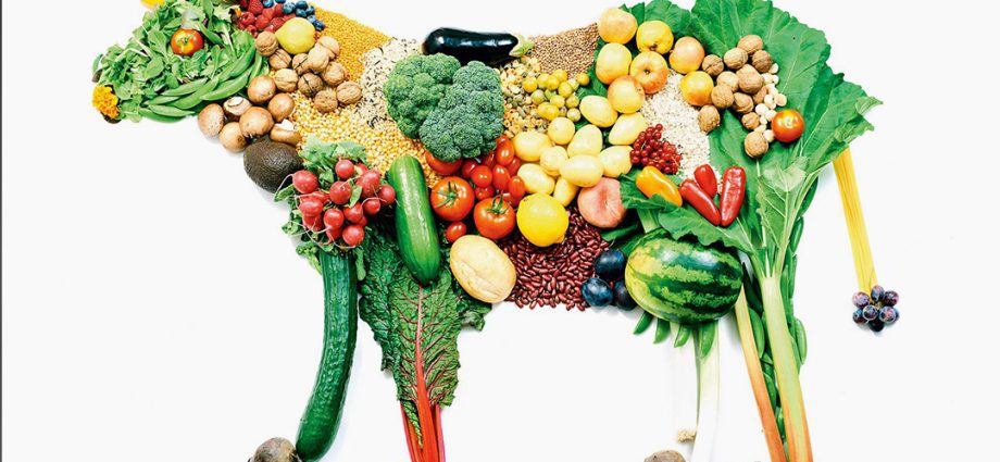 Five myths about a healthy vegetarian diet