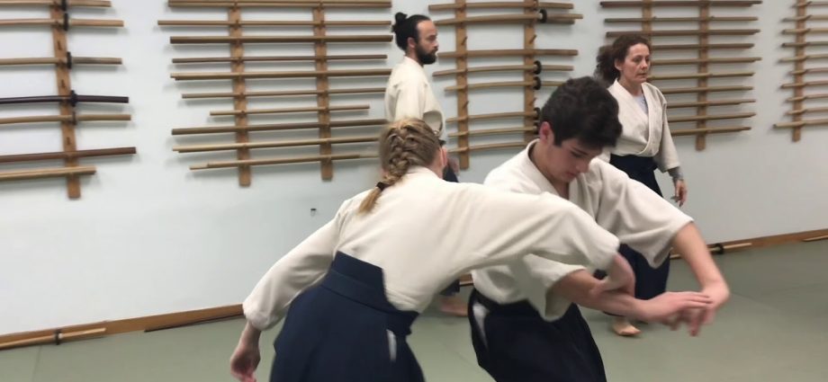 Aikido training (Aikido)