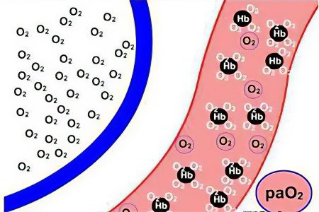 Alkalosis - what is it? What to do?