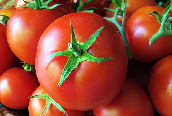 All varieties of tomatoes with a photo