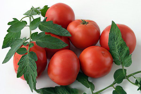 All varieties of tomatoes with a photo