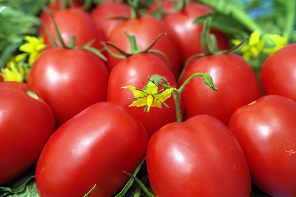 All varieties of tomatoes with a photo