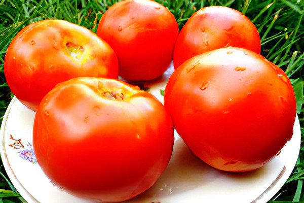 All varieties of tomatoes with a photo