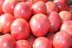 All varieties of tomatoes with a photo