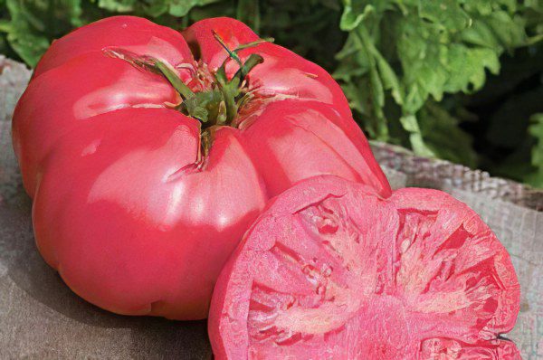 All varieties of tomatoes with a photo