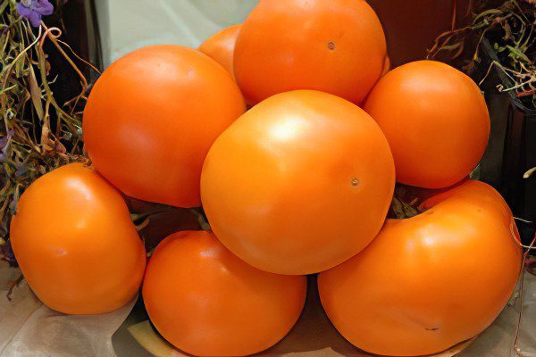 All varieties of tomatoes with a photo