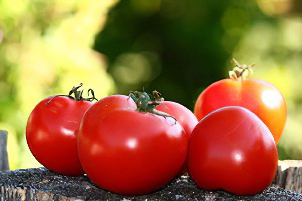 All varieties of tomatoes with a photo