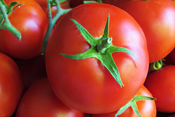 All varieties of tomatoes with a photo