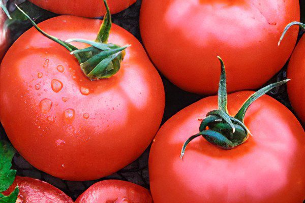 All varieties of tomatoes with a photo