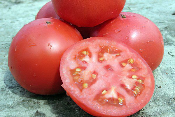 All varieties of tomatoes with a photo