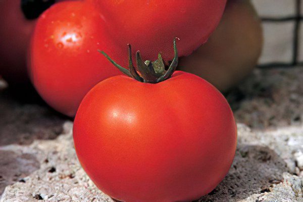 All varieties of tomatoes with a photo