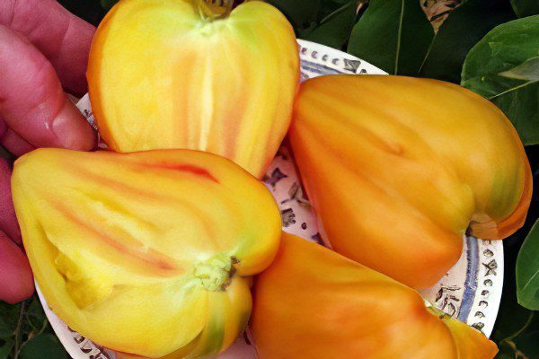 All varieties of tomatoes with a photo