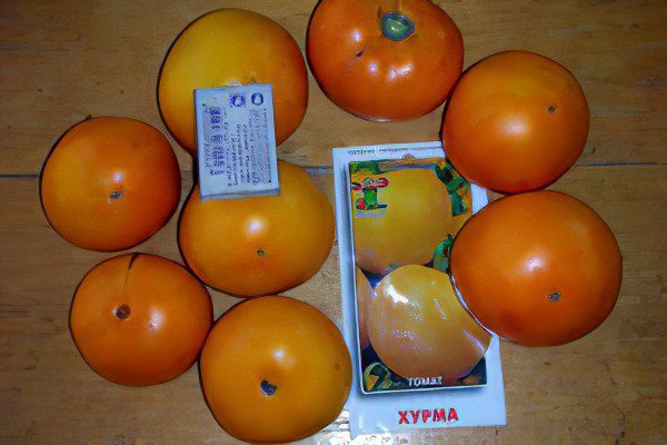 All varieties of tomatoes with a photo