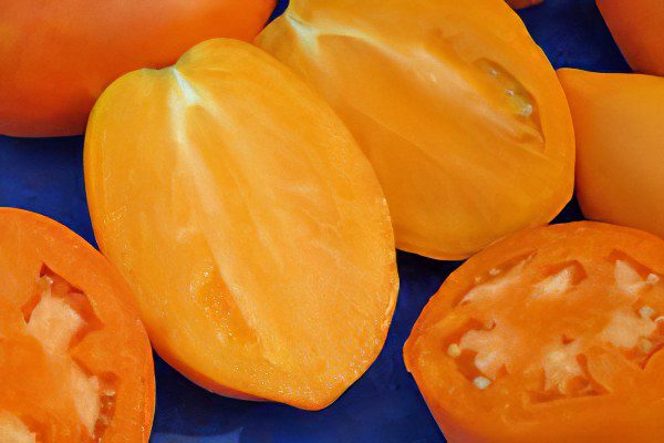 All varieties of tomatoes with a photo