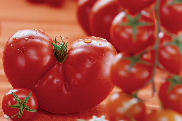 All varieties of tomatoes with a photo