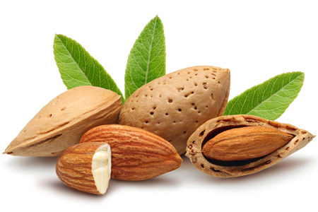 Almonds: benefits and harms