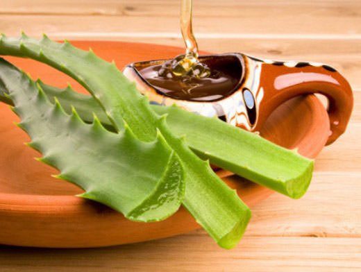 Aloe: Benefits of Aloe Vera, Juice Applications and Recipes