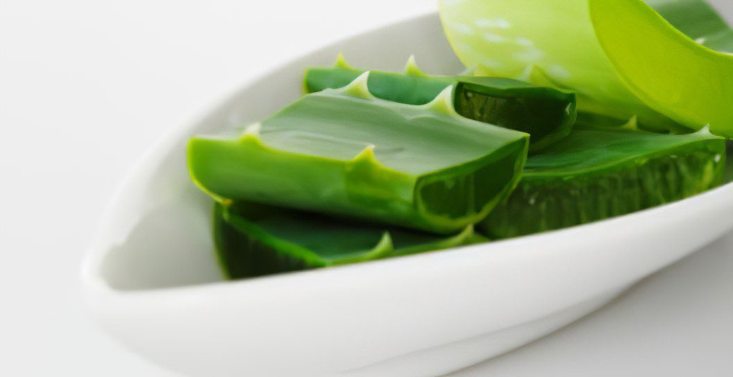 Aloe: Benefits of Aloe Vera, Juice Applications and Recipes