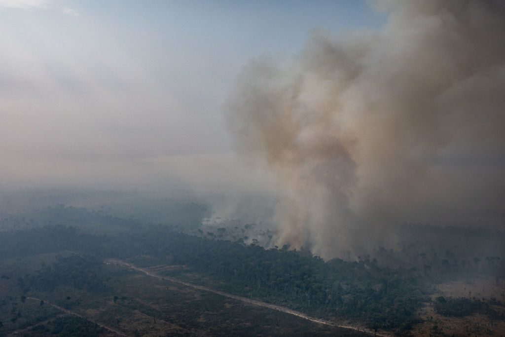 Amazon: can the planet be left without a main rainforest